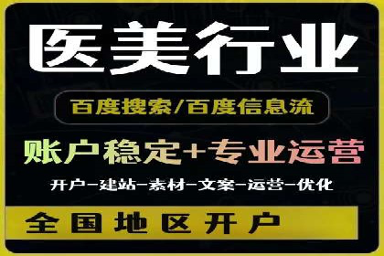 某电商平台的SEM广告投放策略及效果评估