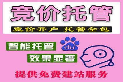 SEM优化实战案例：效果提升策略